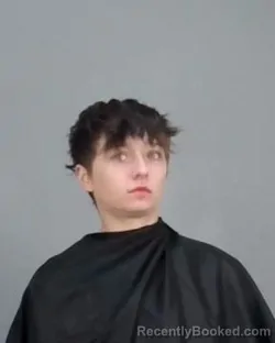 Mugshot of SAVAHANA HOPE SIMMONS