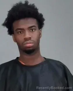 Mugshot of TY RON RONZONI ANDERSON