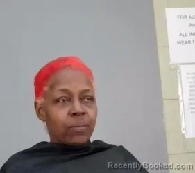 Booking photo from Summit County, Ohio