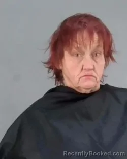 Mugshot of NANCY L BERNADINE