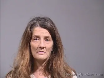 Mugshot of LISA JEAN VIVIO