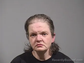 Mugshot of SHANNON LYNN HOLBROOK
