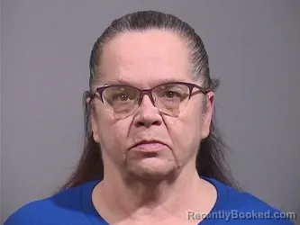 Mugshot of LISA SUE TOSCANO