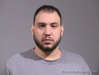 Mugshot of HANNA SAYEJ