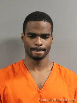 Mugshot of ROBERT DWAYNE BROWN