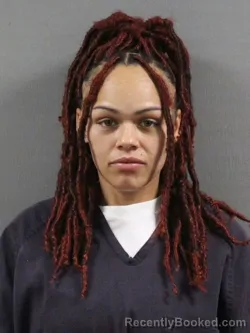 Mugshot of JAMIE MICHELLE WILLIAMS