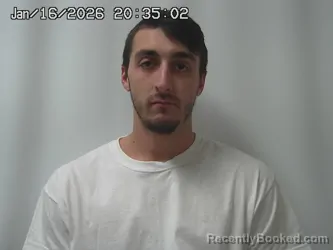 Mugshot of COLLIN BUELOW