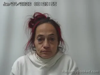 Mugshot of SHAUNELL MCKNIGHT