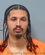 Mugshot of MATTHEW SHAWN LYONS