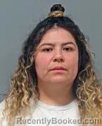 Mugshot of MORIN DENISSE SANHUEZA-DIAZ
