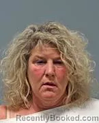 Mugshot of LESLIE DAWN MCINTOSH