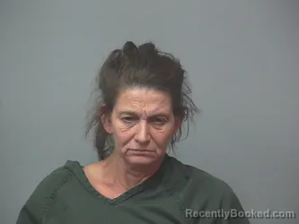 Mugshot of ERIN WILSON