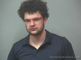 Mugshot of DAVID MILLER