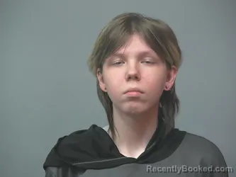 Mugshot of LILY MOSER