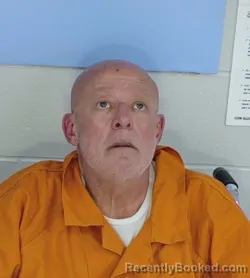 Mugshot of Mohamad Osman Alayli