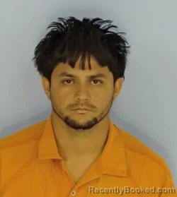 Mugshot of EDIL DAVID HERNANDEZ LOPEZ