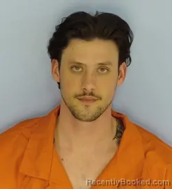 Mugshot of DAVID FRANCISCO MCLAUGHLIN