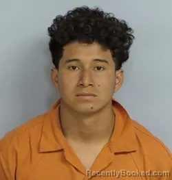 Mugshot of MILTON ROCAEL LOPEZ MANTER