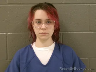 Booking photo from Wood County, Ohio