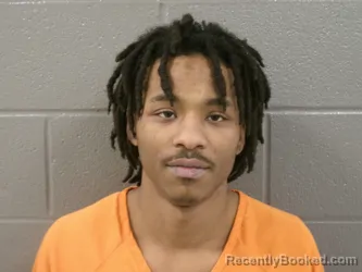 Mugshot of MORGAN AAMORI FAIRLEY