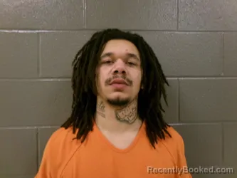 Mugshot of THOMAS SONNY RICHARDSON