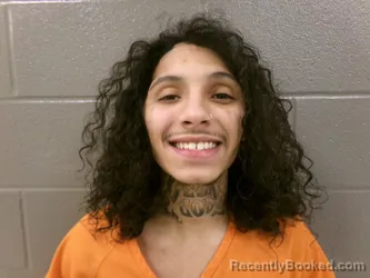 Booking photo from Wood County, Ohio