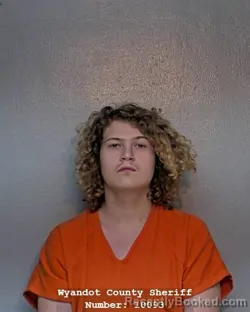 Mugshot of LEVI HUNTER STURGILL