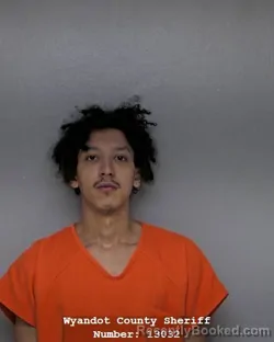 Mugshot of DAYETTE REID