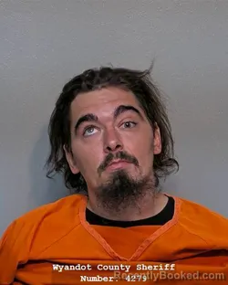 Mugshot of GAGE ANDREWS LAYTON