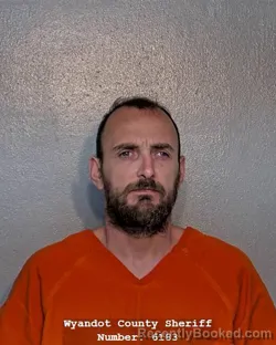 Mugshot of MICHAEL LEE WRENN