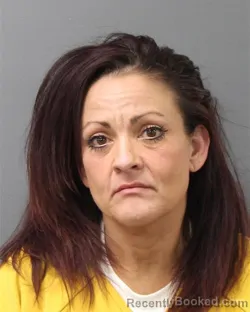 Mugshot of JULIE WILLIAMS