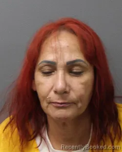 Mugshot of LILIAM GONZALEZ