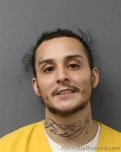 Mugshot of PEDRO LUIS FRANCO-FLORES