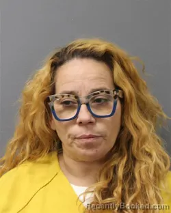 Mugshot of SAMARY DELVALLE-NIEVES