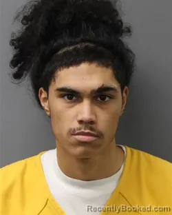Mugshot of AVION ALEXANDER LOPEZ