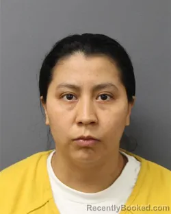 Mugshot of GABRIELA ROMERO-MIRON