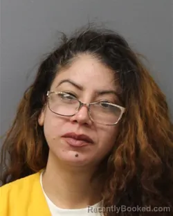 Mugshot of YESSENIA TORRES