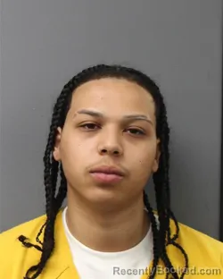 Mugshot of WILSON JOEL CABRERA