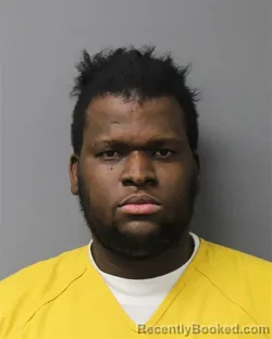 Mugshot of WILSON JOLIN