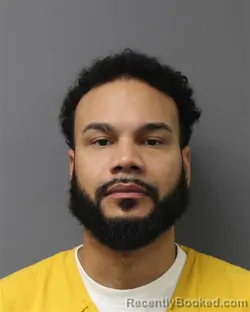 Mugshot of RON VESPERTILIO