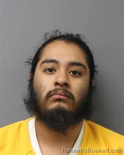 Mugshot of ALAN TEPI-HERNANDEZ