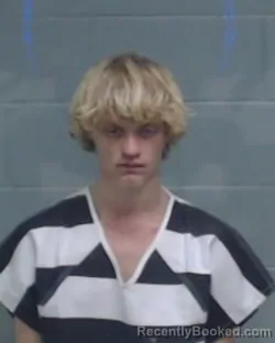 Mugshot of WADE MICHAEL CHESSON