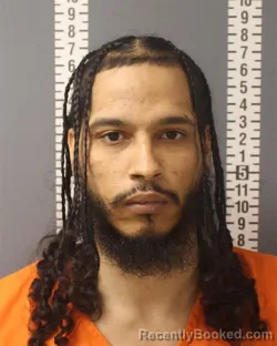 Booking photo from Dauphin County, Pennsylvania