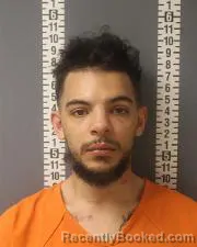 Mugshot of RONALD JAMES MITCHELL