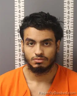 Booking photo from Dauphin County, Pennsylvania