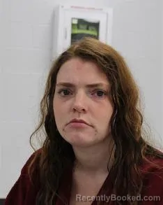 Mugshot of CHELSEA NICOLE WILSON
