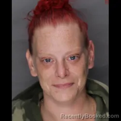 Mugshot of TANISHA MARIE SMITH