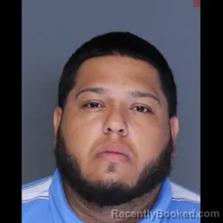 Mugshot of NELSON MAX VELEZ