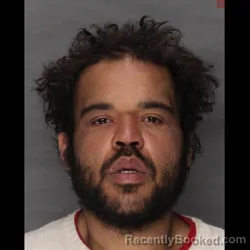 Mugshot of JOSE E TORRES-MORALES