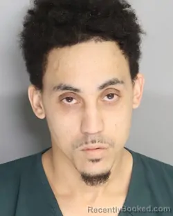 Mugshot of RYAN ISAACS